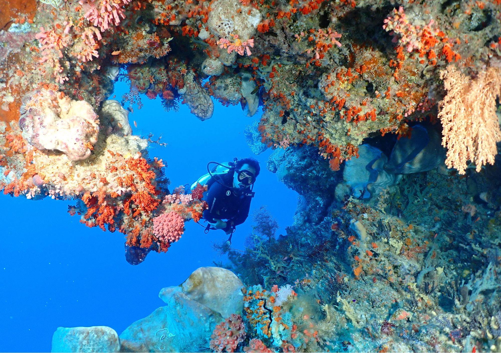 welora-the-forgotten-island-at-the-edge-of-southwest-maluku