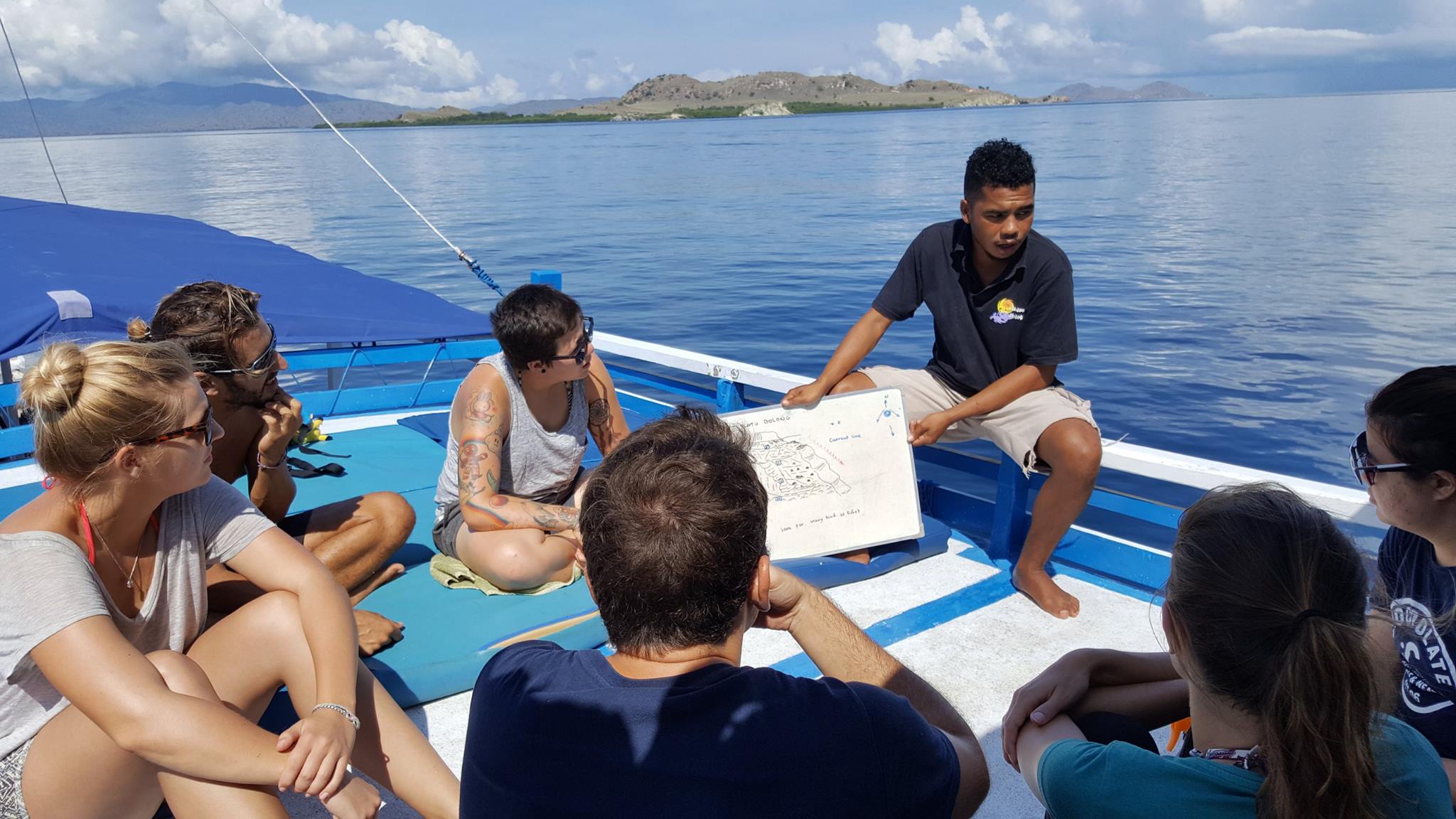 know-more-about-blue-allies-in-east-nusa-tenggara-divine-diving