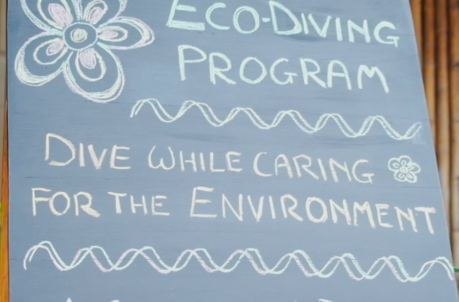 know-more-about-blue-allies-in-east-nusa-tenggara-flores-diving-centre